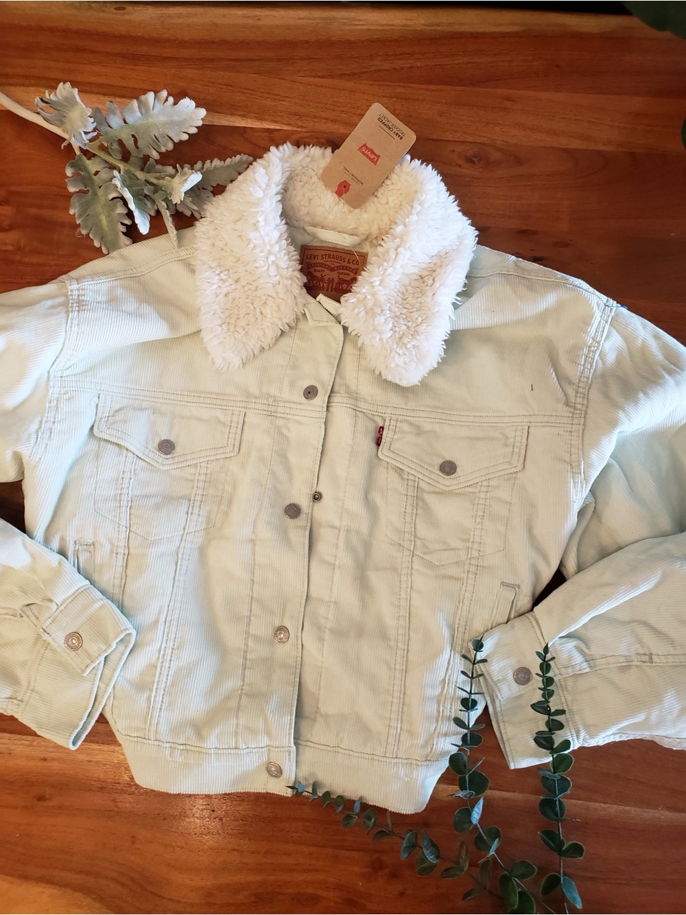 Levi’s New Mint Corduroy Sherpa Trucker Jacket Western Equestrian Preppy Fall